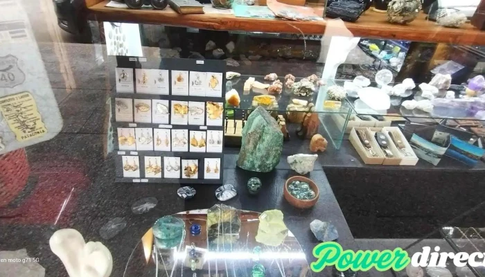 La Araucaria -  Comentarios - San Martín de los Andes