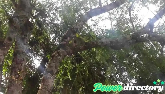 La Cocha -  Videos - Tucumán