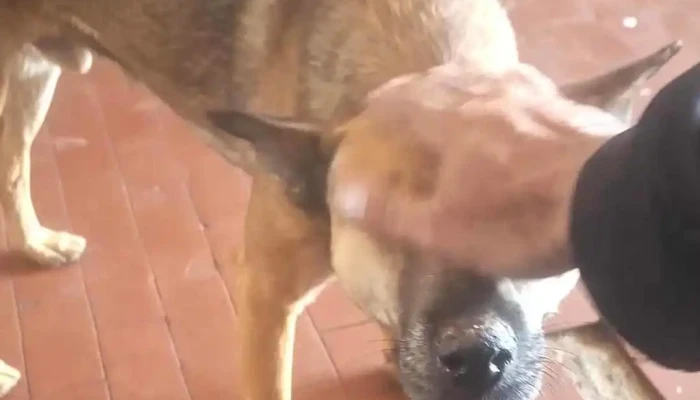 La Quiaca Jujuy Videos - La Quiaca