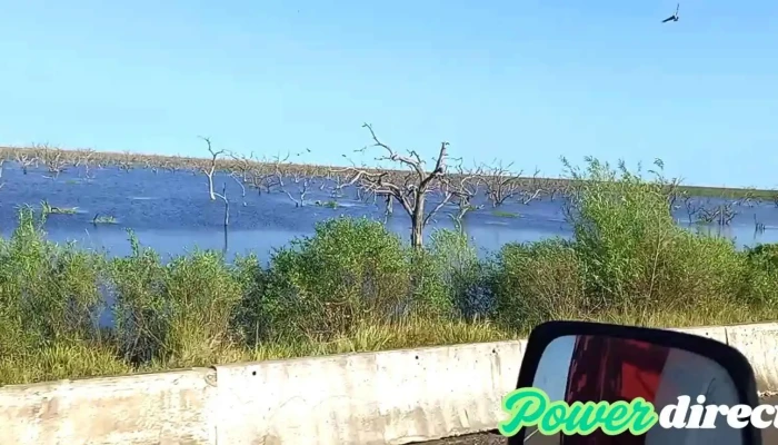 Las Lomitas -  Videos - Las Lomitas