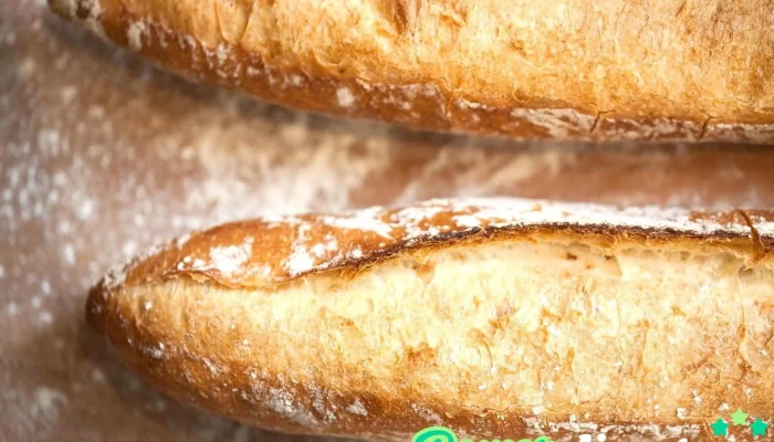 Le Pain Quotidien -  Mas Recientes - Yerba Buena
