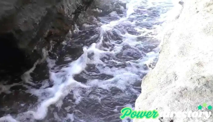 Magallanes -  Videos - Santa Cruz