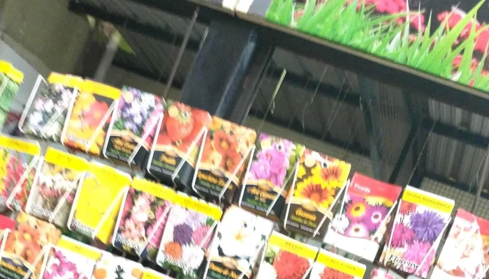 Mercado Armonia Numero - Santiago del Estero