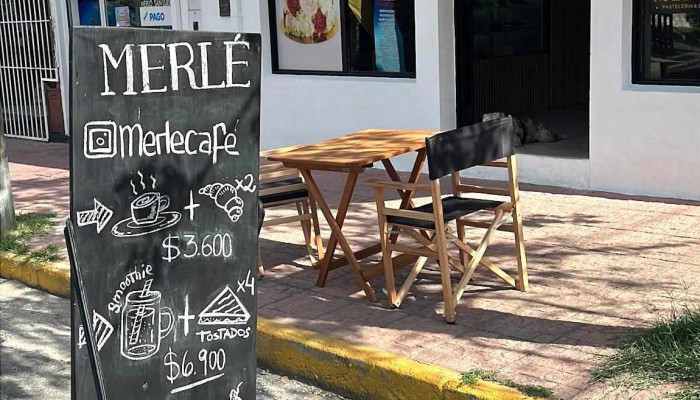 Merle -  Carta - Merlo