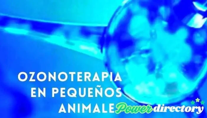 Movet Fisioterapia, Rehabilitación y Ozonoterapia Veterinaria - Mendoza