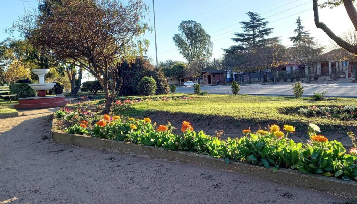 Municipalidad De Costa Sacate -  Costa Sacate - Costa Sacate