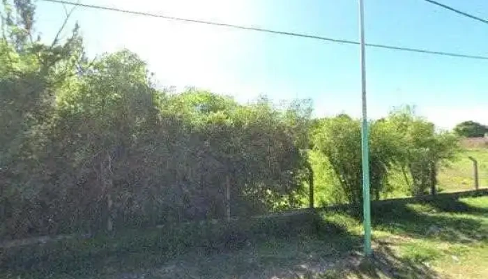 Municipalidad De San Cosme -  Opiniones - San Luis del Palmar