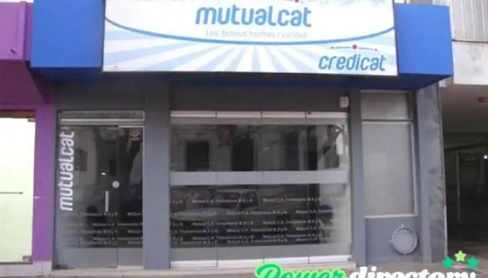 Mutual Cat -  Del Propietario - El Trebol