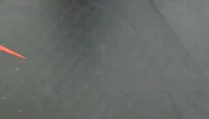 Oc Gaiman -  Videos - Gaiman