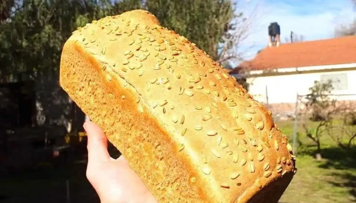 Panazo -  Del Propietario - Merlo