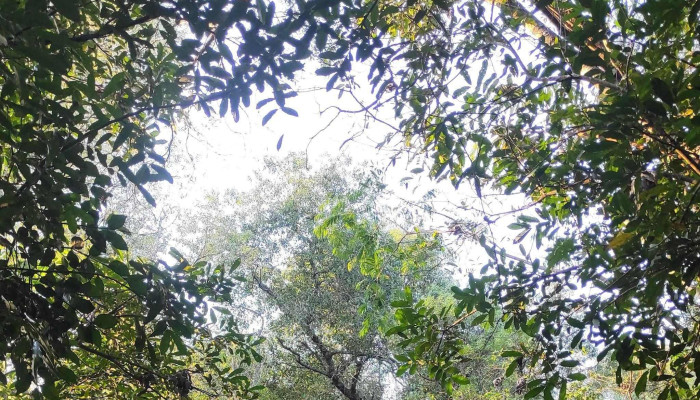 Parque Nacional Mburucuyá - Mburucuyá