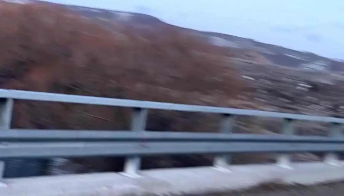 Pilcaniyeu -  Videos - Pilcaniyeu