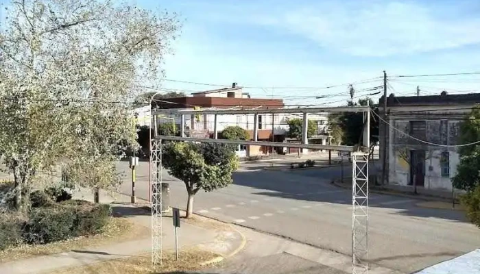 Piquillín - Piquillín