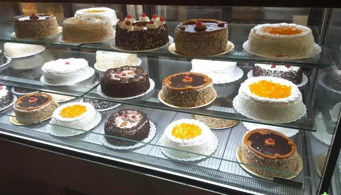 Polo Norte -  Pastel - San Miguel de Tucumán