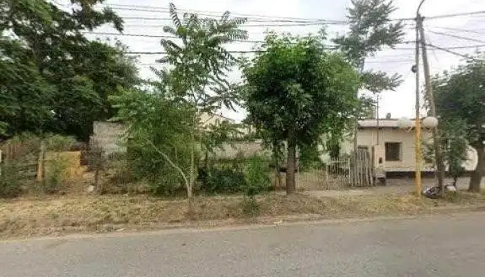 Prana -  Lic Gabriela Rosolin Puntajedeg - Villa Regina