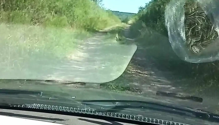 Puerto Yerua Videos - Puerto Yeruá