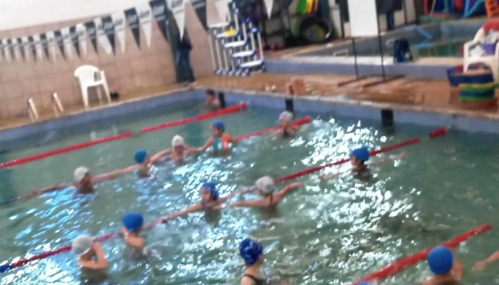 Pulso Gimnasio Natacion Y Kinesiologia Numero - Bqc