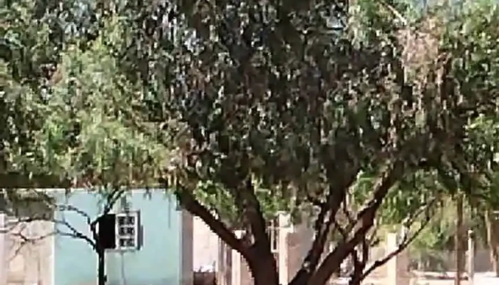 Quilino -  Videos - Quilino