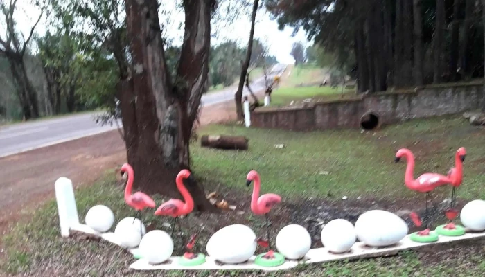 Regionales Misione -  Videos - Misiones