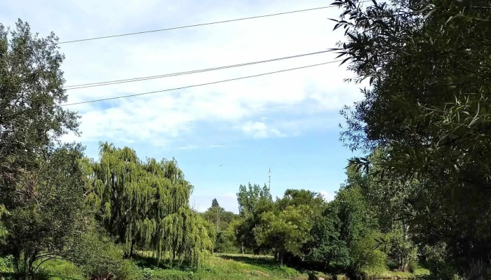 Rio Jaime Salsacate -  Zona - Salsacate