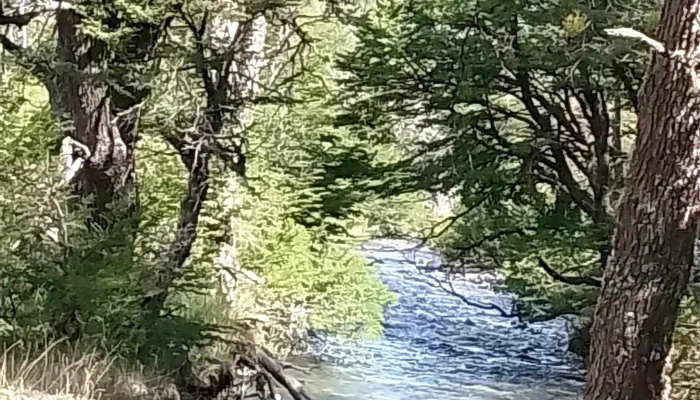 Rio Senguer Descuentos - Chubut