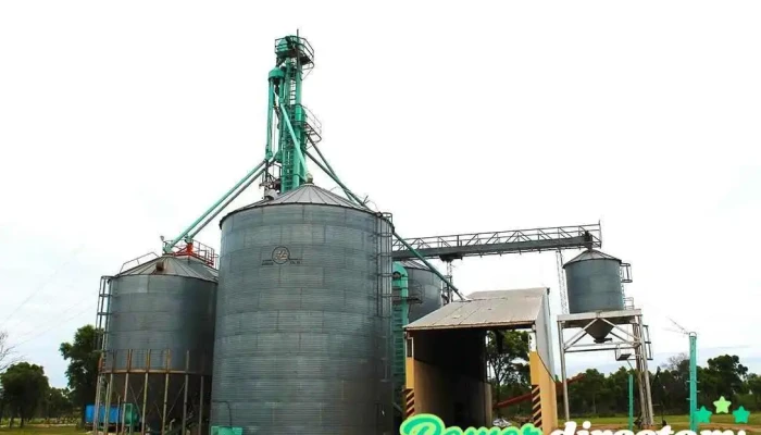 Ryk Srl Centro De Servicio Monsanto Quimili -  Numero - Quimili