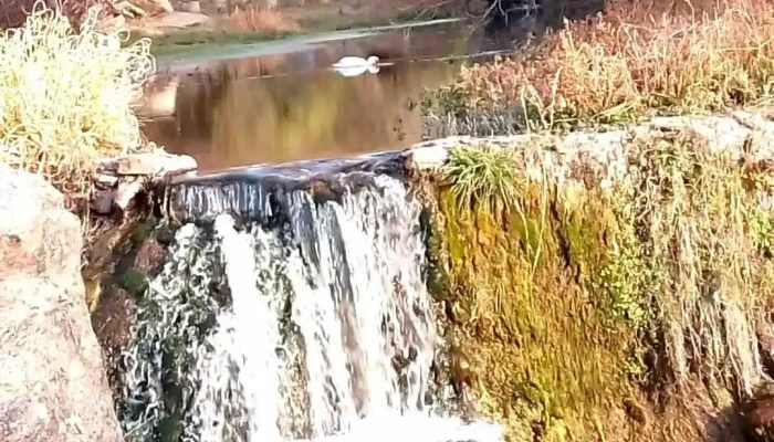 San Alberto -  Videos - Córdoba