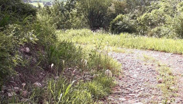 Santa Clara -  Puntaje - Santa Clara