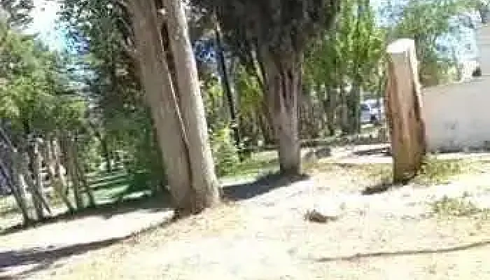 Sarmiento -  Videos - Sarmiento