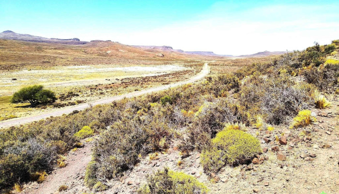 Telsen -  Direccion - Chubut