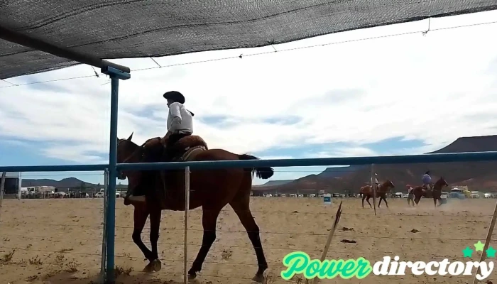 Telsen -  Videos - Telsen