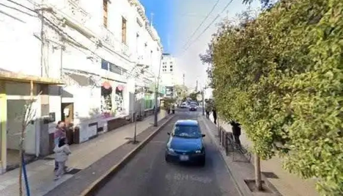 Trigal Panaderia Artesanal Como Llegardeg - San Luis