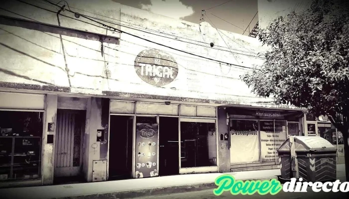 Trigal Panadería Artesanal - San Luis