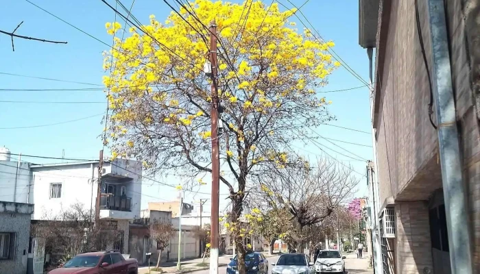 Villa Alem -  Puntaje - San Miguel de Tucumán